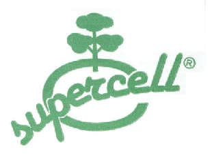 marchio supercell